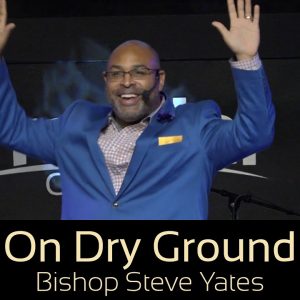 On Dry Ground | New Year’s Stream
