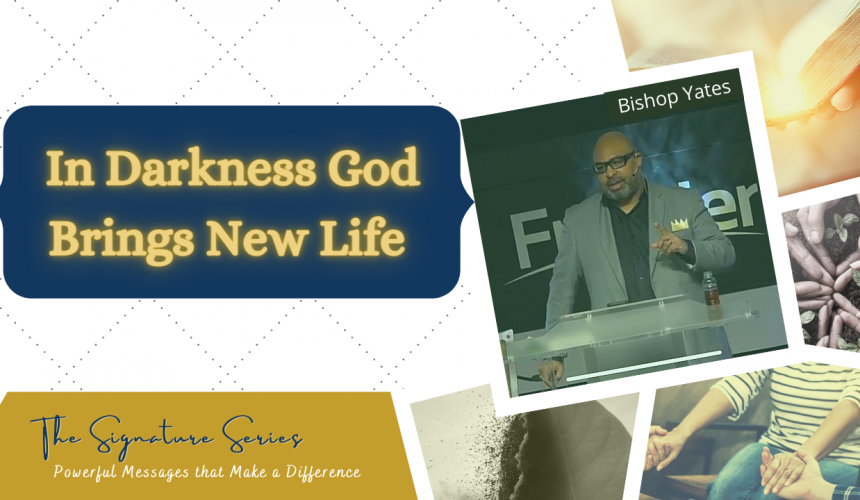 In Darkness God brings New Life